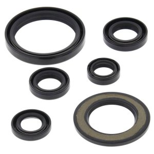 Yamaha YFM700R Raptor Engine Oil Seal Kit - Vertex Pistons - `06-`23